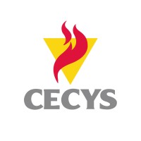 CECYS Audit, Conseil & Formation Logo