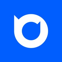 Brain Digits LLC Logo