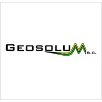 Geosolum H.Bukowy-Olejnik D.Sowiński Spółka Cywilna Logo