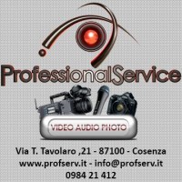 Professional Service Srl Logo