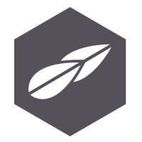 Timoleon Logo
