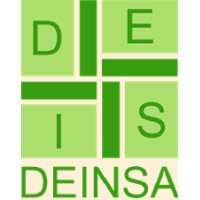 DEINSA SRL Logo