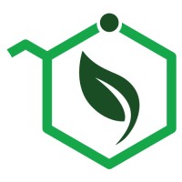 Green Vine Logo