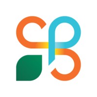 Process & Strategy Solutions, PLLC Logo