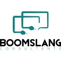 Boomslang Consultants Logo