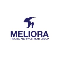 Meliora Finance and Investment Group Logo