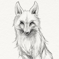 Company of Wolves Logo