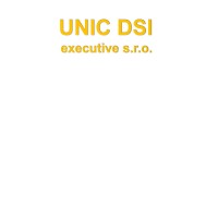 UNIC DSI executive s.r.o. Logo