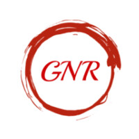 GNR Designs LTD. Logo