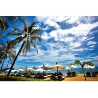 Places to Baecation Logo