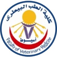 Department of Surgery | Faculty of Vet Medicine | Assiut University Logo