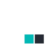 Brieffin Consulting Logo