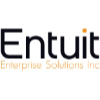 Entuit Enterprise Solutions Inc. Logo