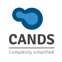 C&S - Consulting and Services Logo