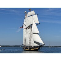 Pride of Baltimore, Inc. Logo