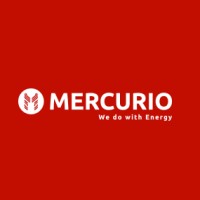 MERCURIO SRL Logo