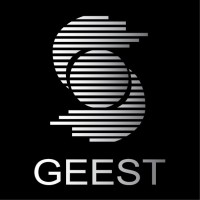 Geest Consultancy Ltd Logo