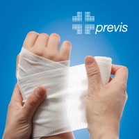 PREVIS SRL Logo