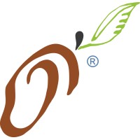 Mango Report Logo