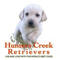 Hunters Creek Retrievers - Top Dog Training USA Logo