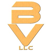 Bingham Ventures Logo
