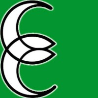 Edilservice di Casari Marco & C. Snc Logo