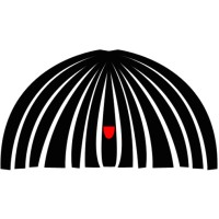 Invisible University Logo