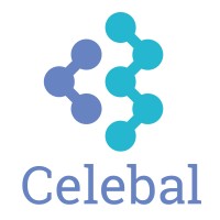 Celebal India Solutions Pvt. Ltd. Logo