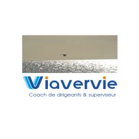 VIAVERVIE Logo