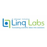 Linq Labs Logo