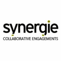 Synergie Group Pte. Ltd. Logo