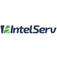 Intelserv Inteligencia em Serviços Logo