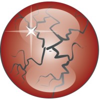 Focus Protection & Investigation Logo