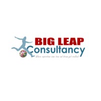 Big Leap Consultancy Logo