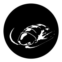 Talitres Logo