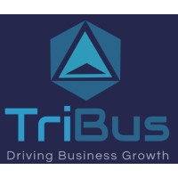 Tribus Consulting Logo
