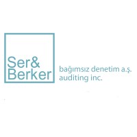 DFK International - Ser&Berker Bağımsız Denetim A.Ş. Logo
