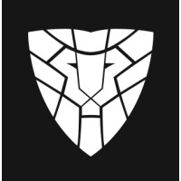 iLION Digital | Strategy Logo