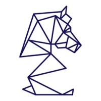 Digital Strategies Logo