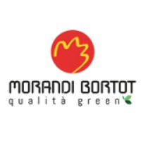 Morandi Bortot srl Logo