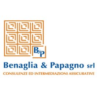 Benaglia & Papagno Srl Logo