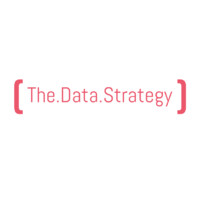 The Data Strategy Logo