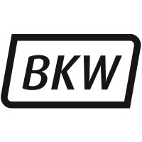 BKW Instruments Logo