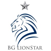 BG LionStar Group, LLC Logo