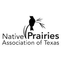 Native Prairies Association of Texas Logo