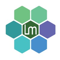 Lumax Civil & Environmental Consulting Logo