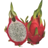 Pitaya Filmes Logo