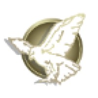 Falcon Sales and Technology, Inc. Logo