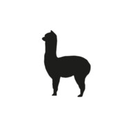 Alpaca Communications Logo