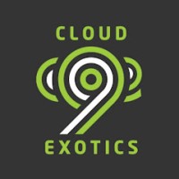 Cloud 9 Exotics Logo
